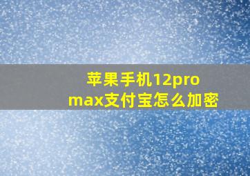 苹果手机12pro max支付宝怎么加密